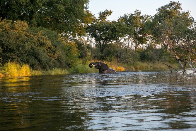 Zambezi Sunset Cruise  Wildlife, Drinks & Breathtaking Views - An In-Depth Look at the Zambezi Sunset Cruise
