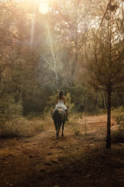 Zambia: Half-Day Horse Riding Safari + Lunch - Key Points