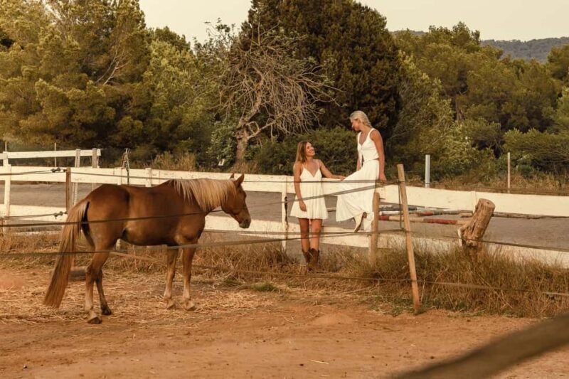 Zambia: Half-Day Horse Riding Safari + Lunch - An In-Depth Look at the Half-Day Horse Riding Safari