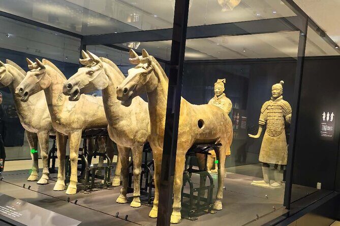 ZANBUS: Xi'an Qin Terra-cotta Warriors Bus Tour Departs at 8/9 AM - The Experience: What to Expect from Start to Finish