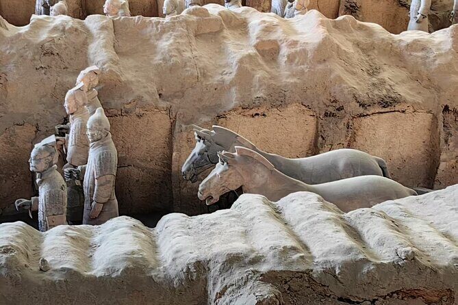 ZANBUS: Xi'an Qin Terra-cotta Warriors Bus Tour Departs at 8/9 AM - FAQ