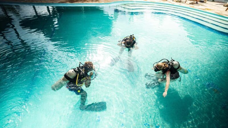 Zanzibar 1 Day Scuba Diving Course for Beginners with Lunch - FAQ