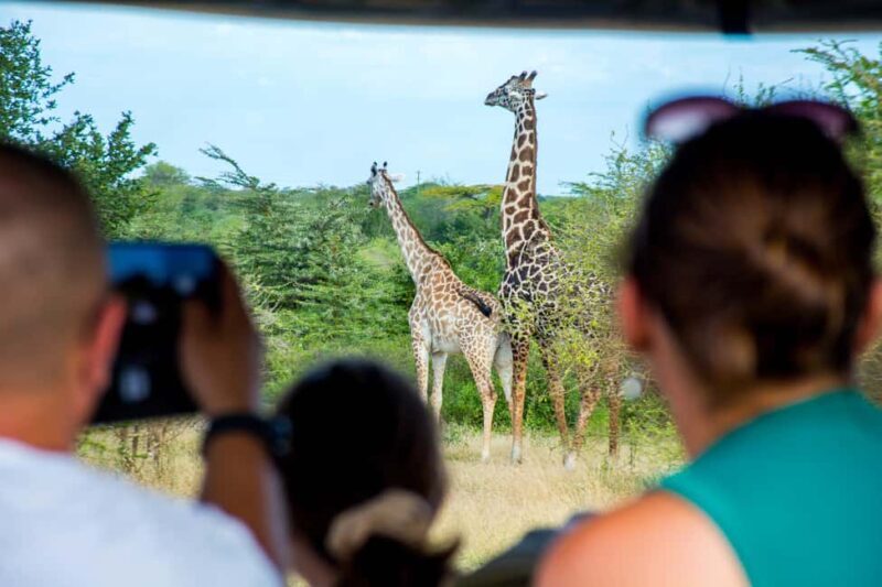 Zanzibar: 2-Day Nyerere National Park Safari with Ferry - Key Points: