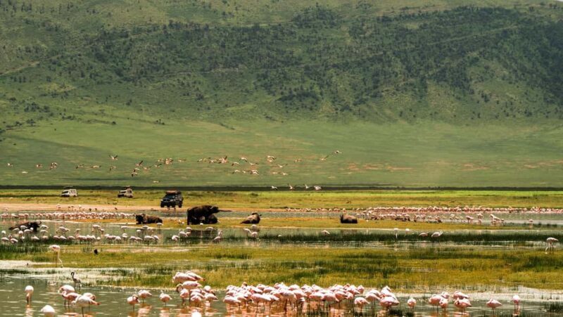 Zanzibar: 2-Day Private Magical Ngorongoro Crater Safari - Day Two: Wrapping Up and Returning to Zanzibar