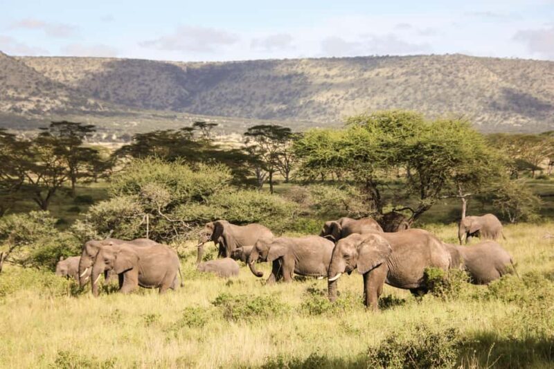 Zanzibar: 2-Day Safari to Tarangire National Park - Exploring the Itinerary in Detail