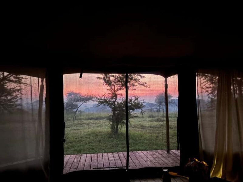 Zanzibar: 3-Day A Quick Fly-in Safari to Serengeti - Final Thoughts: Is This Safari Right for You?