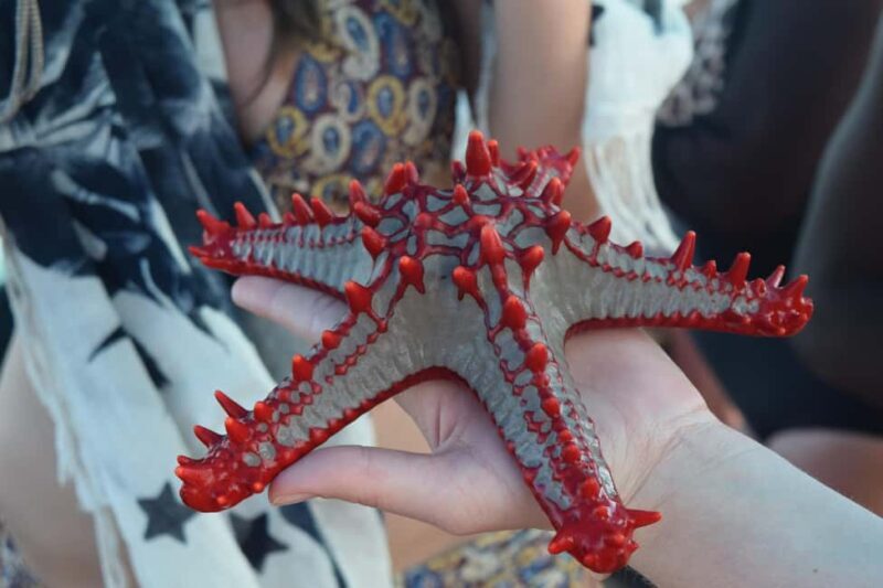 Zanzibar: 3-Day Beach Holiday Tour - Practical Details: What to Expect and How to Prepare