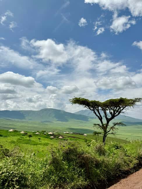 Zanzibar: 3-Day Safari to Tarangire, Ngorongoro, & Arusha - What We Love About This Safari