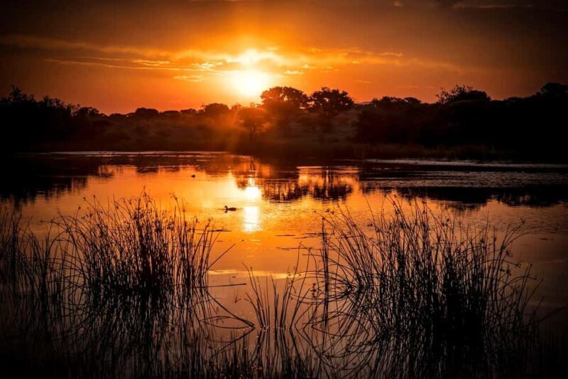 Zanzibar: 3 Days 2 Nights Mikumi Safari and Maasai Tour - FAQ
