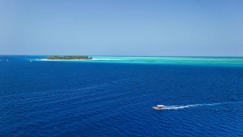 Zanzibar 3 Days Scuba Diving six dive: blue trip experience - Introduction to the Zanzibar Scuba Experience  