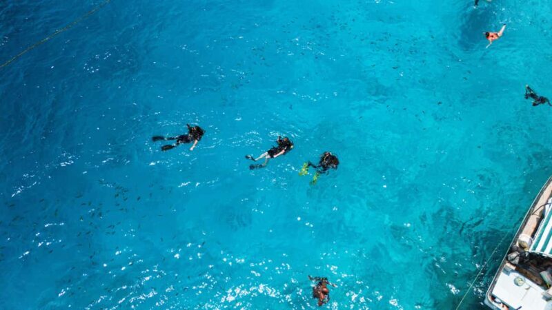 Zanzibar 3 Days Scuba Diving six dive: blue trip experience - Practical Tips for Travelers  