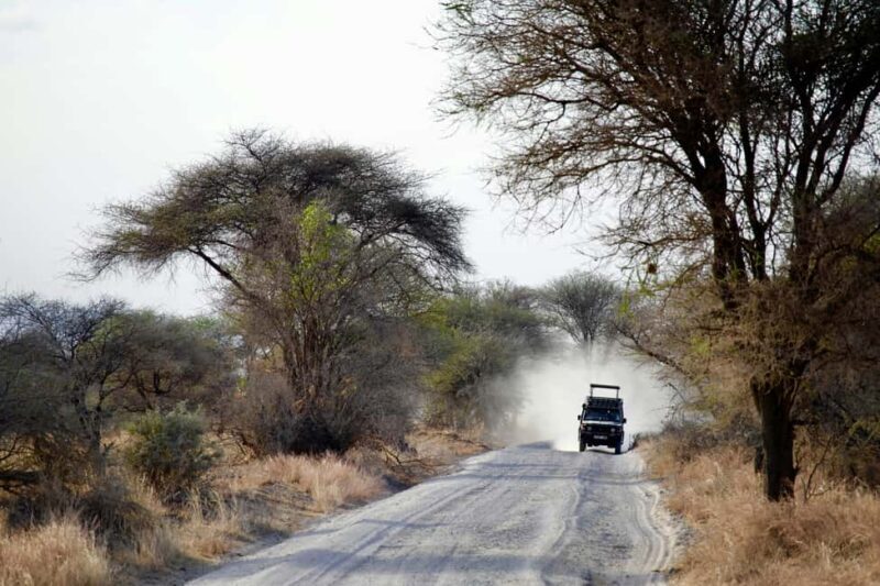Zanzibar: 4-Day Serengeti & Ngorongoro Fly-In Safari - An Overview of the Experience