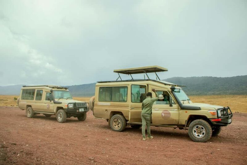 Zanzibar: 5-Day Serengeti and Ngorongoro Safari with Flights - Day 2: Exploring the Remote Northern Serengeti