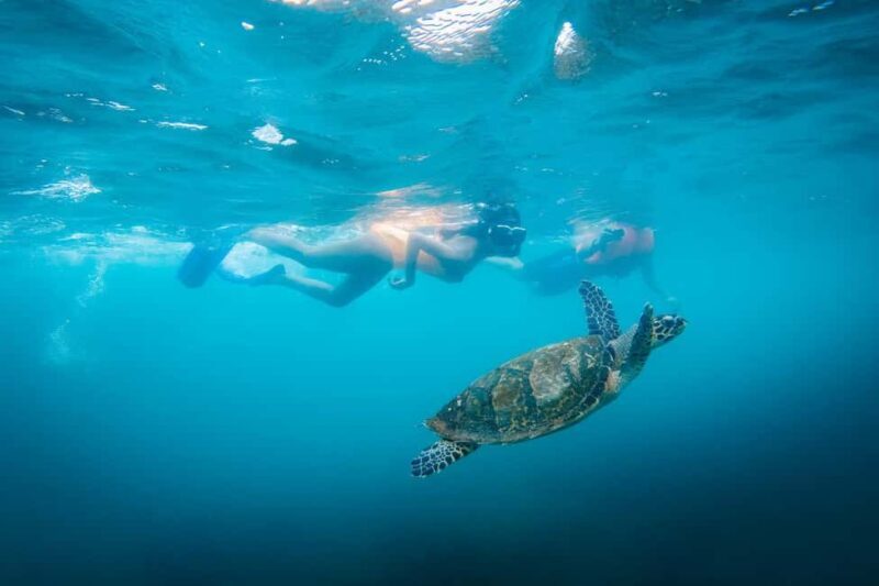 Zanzibar 8 Days Beach Tour & Sea all inclusive Safari trip - The Full Experience Breakdown