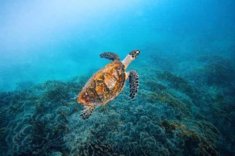 Zanzibar 8 Days Beach Tour & Sea all inclusive Safari trip - Final Thoughts