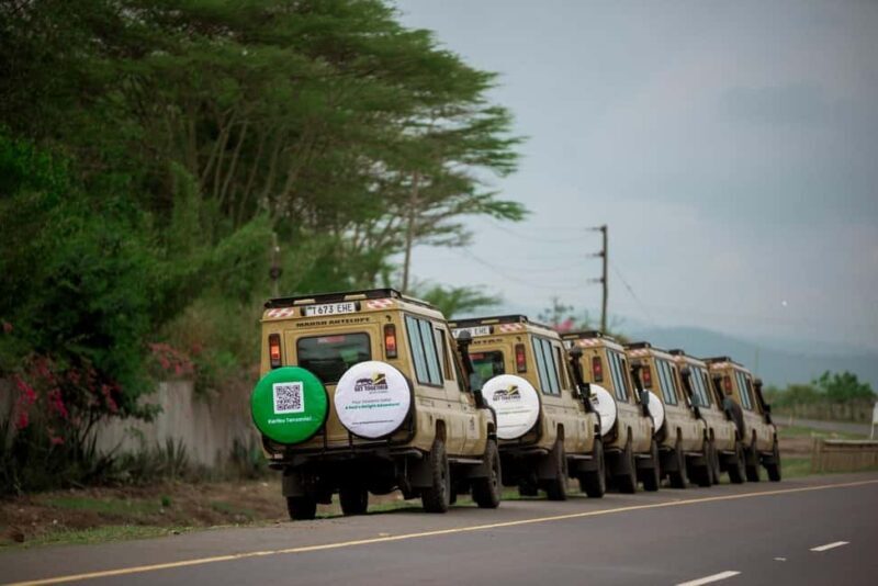 Zanzibar: 9-Day Spice Island & Safari Journey - Safari in Nyerere National Park: An Off-the-Beaten-Path Wilderness