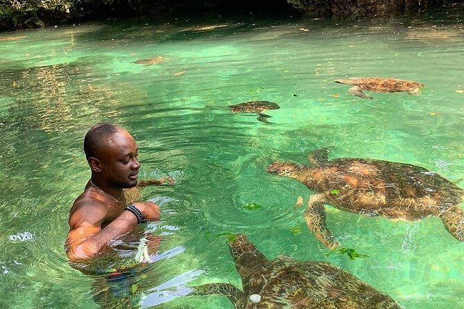 Zanzibar Adventures - The Sum Up