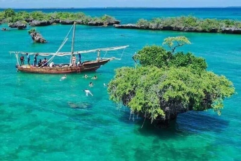 ZANZIBAR: Amazing Full day Private Blue safai with BBQ lunch - What You Can Expect from the Tour