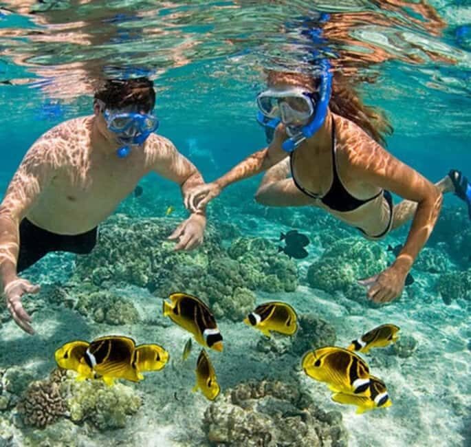 ZANZIBAR: Amazing natural lagoon and Starfish tour - Exploring Zanzibar’s Natural Lagoon and Starfish Tour: An Authentic Water Adventure