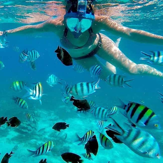 ZANZIBAR: Amazing natural lagoon and Starfish tour - What Makes This Tour Special?