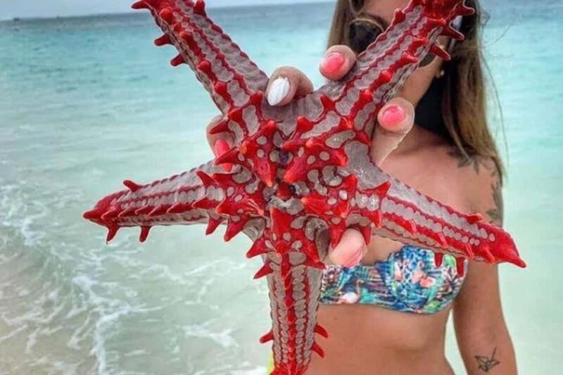 ZANZIBAR: Amazing natural lagoon and Starfish tour - Real Experiences from Travelers