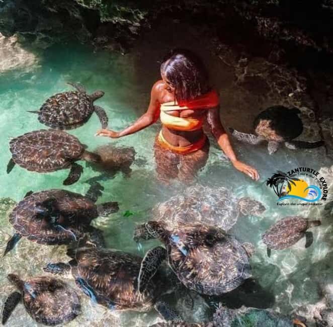 Zanzibar: Baraka Aquarium Feed, Swim & Snorkel with Turtles - FAQ