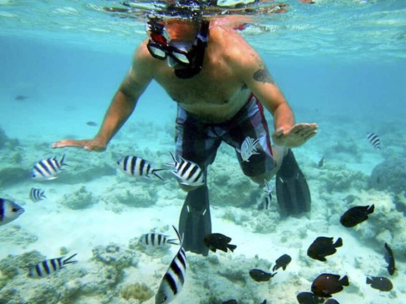 Zanzibar Bawe Island Snorkeling Day Trip with Lunch - Zanzibar Bawe Island Snorkeling Day Trip with Lunch: An In-Depth Review