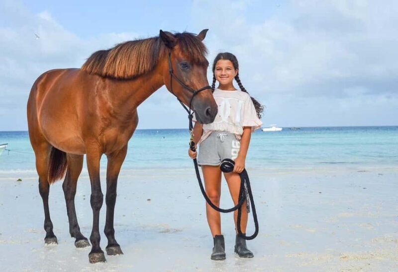 Zanzibar: Beach Horseback Ride and Swim with the Horse - Key Points