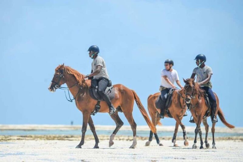 Zanzibar: Beach Horseback Ride and Swim with the Horse - The Itinerary: What to Expect