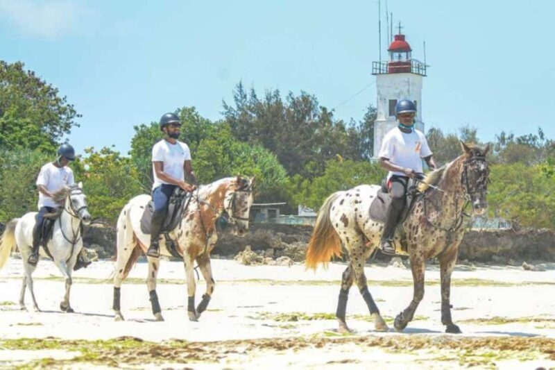 Zanzibar: Beach Horseback Ride and Swim with the Horse - Authentic Experiences from Reviews