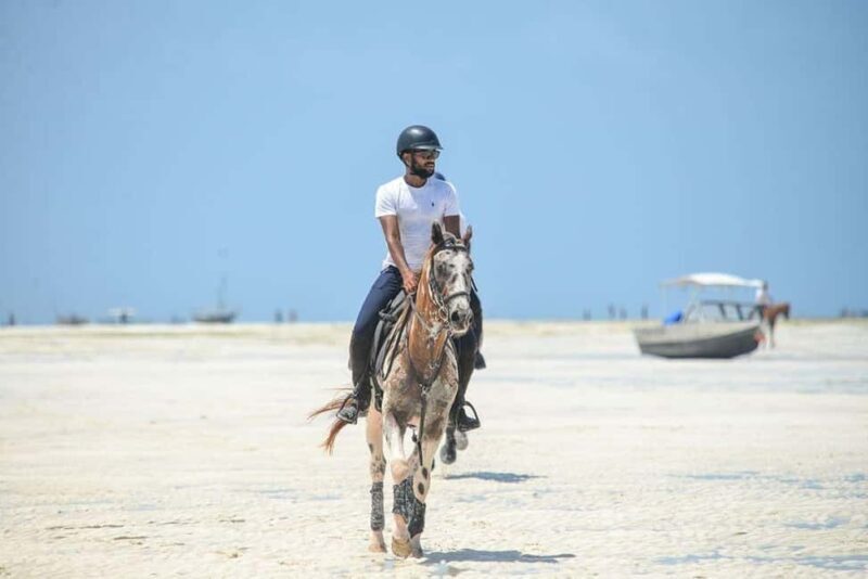 Zanzibar: Beach Horseback Ride and Swim with the Horse - The Sum Up
