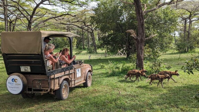 Zanzibar: Best Selous Day Safari with Flights & Lunch - Key Points