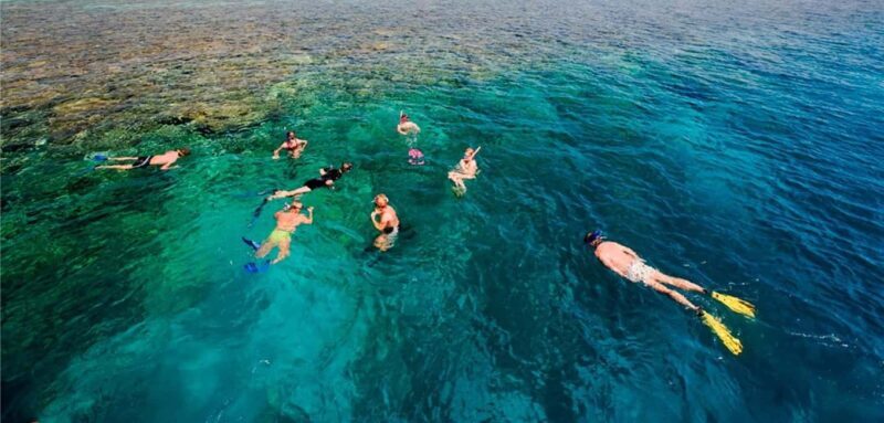 Zanzibar: Blue Lagoon Snorkeling & Starfish Experience - The Highlight Lunch at Rock Restaurant