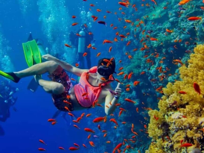 Zanzibar: Blue Lagoon Snorkeling With Starfish Tour - Key Points