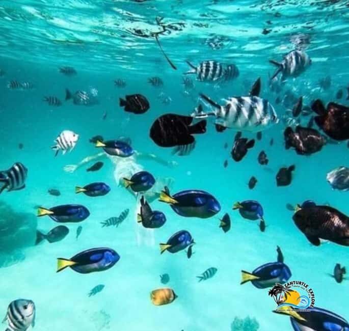 Zanzibar: Blue Lagoon, Starfish and Jozani Forest Tour - FAQ