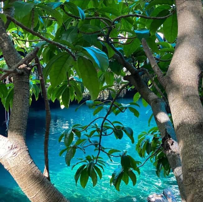 Zanzibar: Blue lagoon, Starfish, Paje Beach and Maalum Cave - Exploring Zanzibar’s South: A Detailed Review of the Blue Lagoon, Starfish, Paje Beach & Maalum Cave Tour