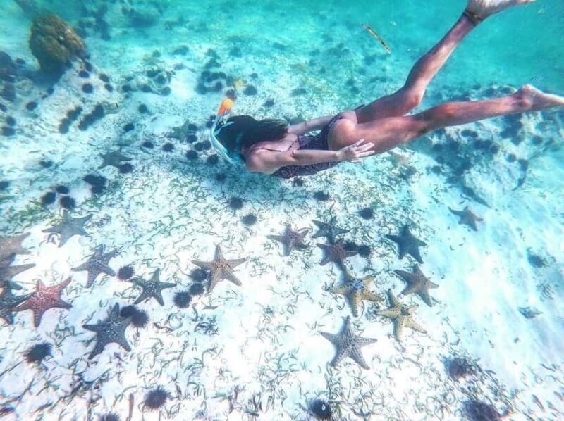 Zanzibar: Blue lagoon, Starfish, Paje Beach and Maalum Cave - An In-Depth Look at the Tour Experience
