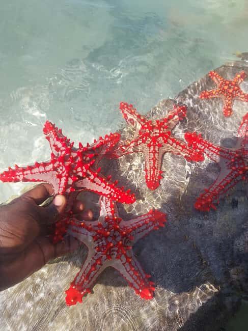 Zanzibar: Blue lagoon & Starfish - The Value of This Tour