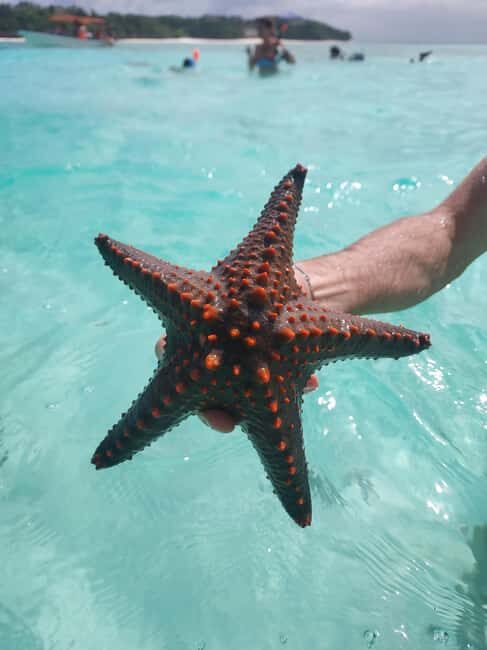 Zanzibar: Blue lagoon & Starfish - The Sum Up