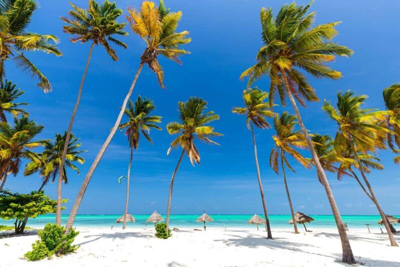ZANZIBAR: BLUE LAGOON TOUR - Practical Considerations