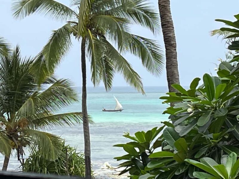 ZANZIBAR: BLUE LAGOON TOUR - Final Thoughts