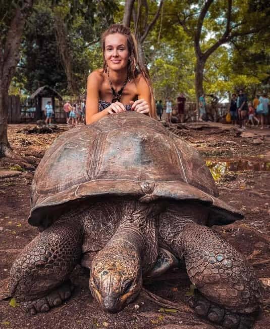 Zanzibar: Butterfly, Stone Town & Prison Island Excursion - A Closer Look at the Tour: What You Can Expect