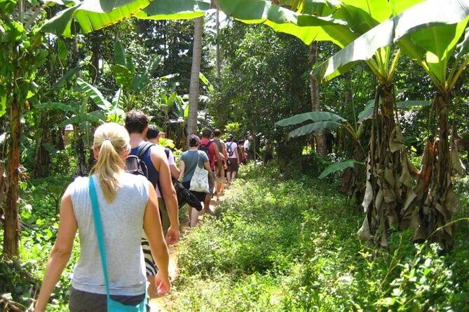 Zanzibar Cooking Class & Spice Tour - Detailed Experience Breakdown