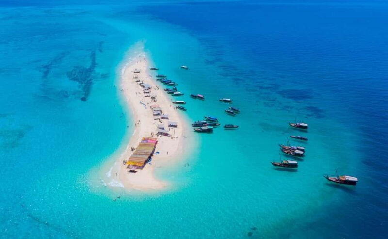 Zanzibar: Day Prison Island,Nakupenda Sandbank Tour,transfer - What Makes This Tour Stand Out?