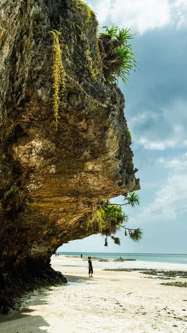 Zanzibar Day Secret Beach, Jozani, Ngonga Cave with transfer - An In-Depth Look at the Tour