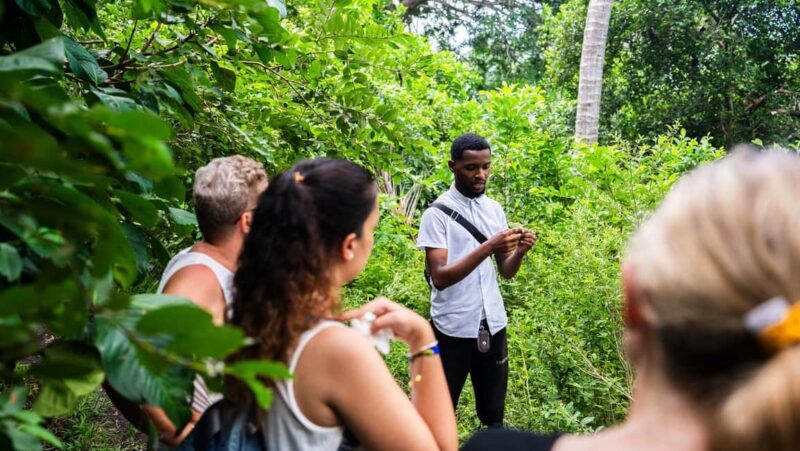 Zanzibar Day Secret Beach, Jozani, Ngonga Cave with transfer - Final Thoughts