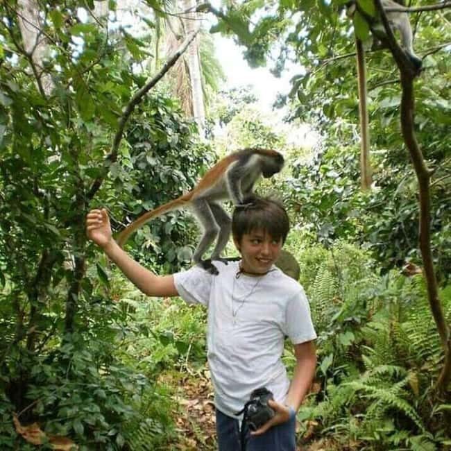 Zanzibar: Discover Red Colobus Monkey in Jozani forest tour - Transportation, Timing, and Group Size