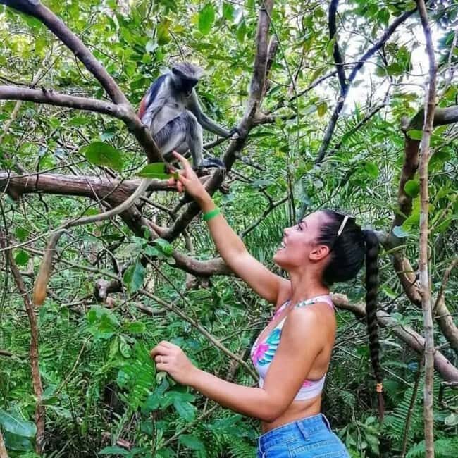 Zanzibar: Discover Red Colobus Monkey in Jozani forest tour - Final Thoughts