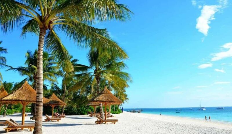 Zanzibar: Discovering paradise A Day Trip at Kendwa Beach - Practical Details and Tips