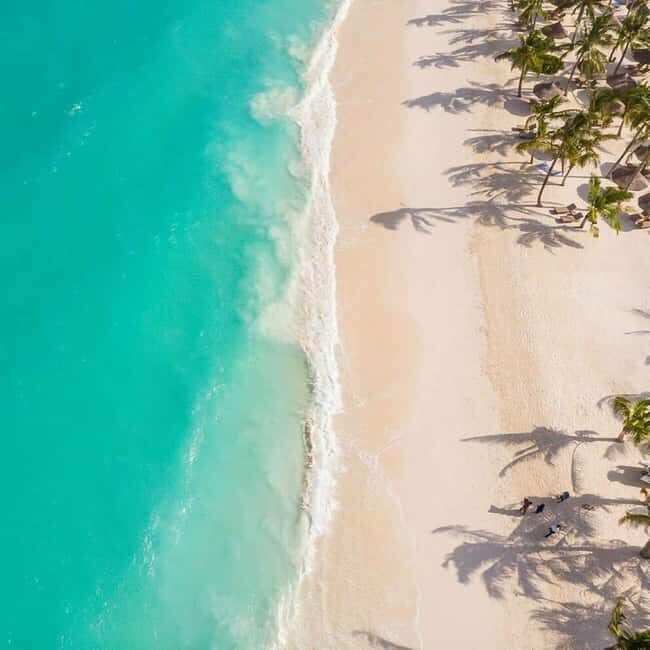 Zanzibar: Discovering paradise A Day Trip at Kendwa Beach - Who Will Enjoy This Experience?